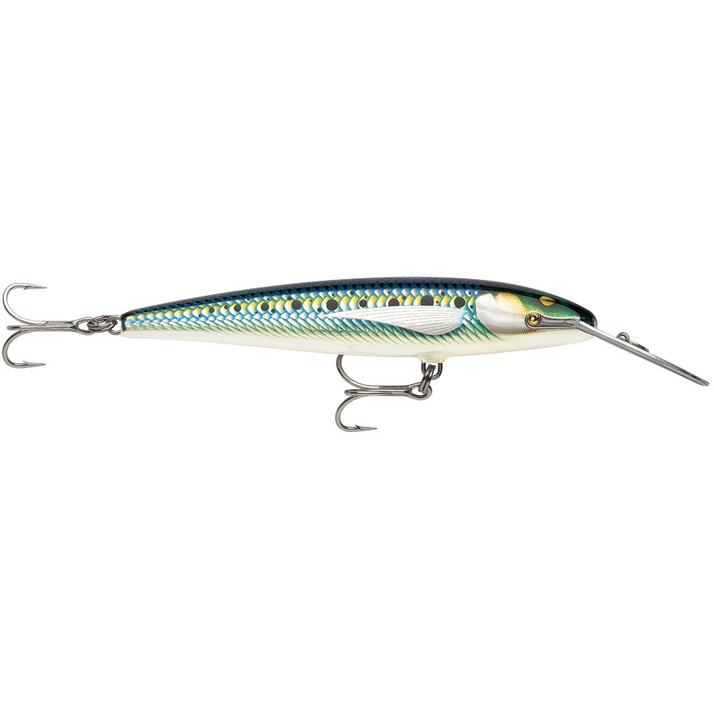 Rapala CountDown Magnum Elite 145 534 Armored Sardine CDMAGE145AMSRD