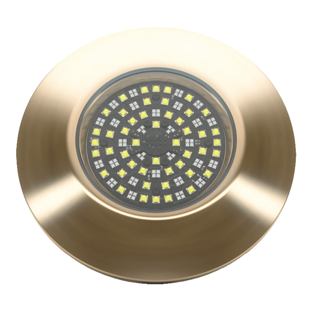 Lumishore SUPRA THX1604 ThruHull Light  Driver 0100451900