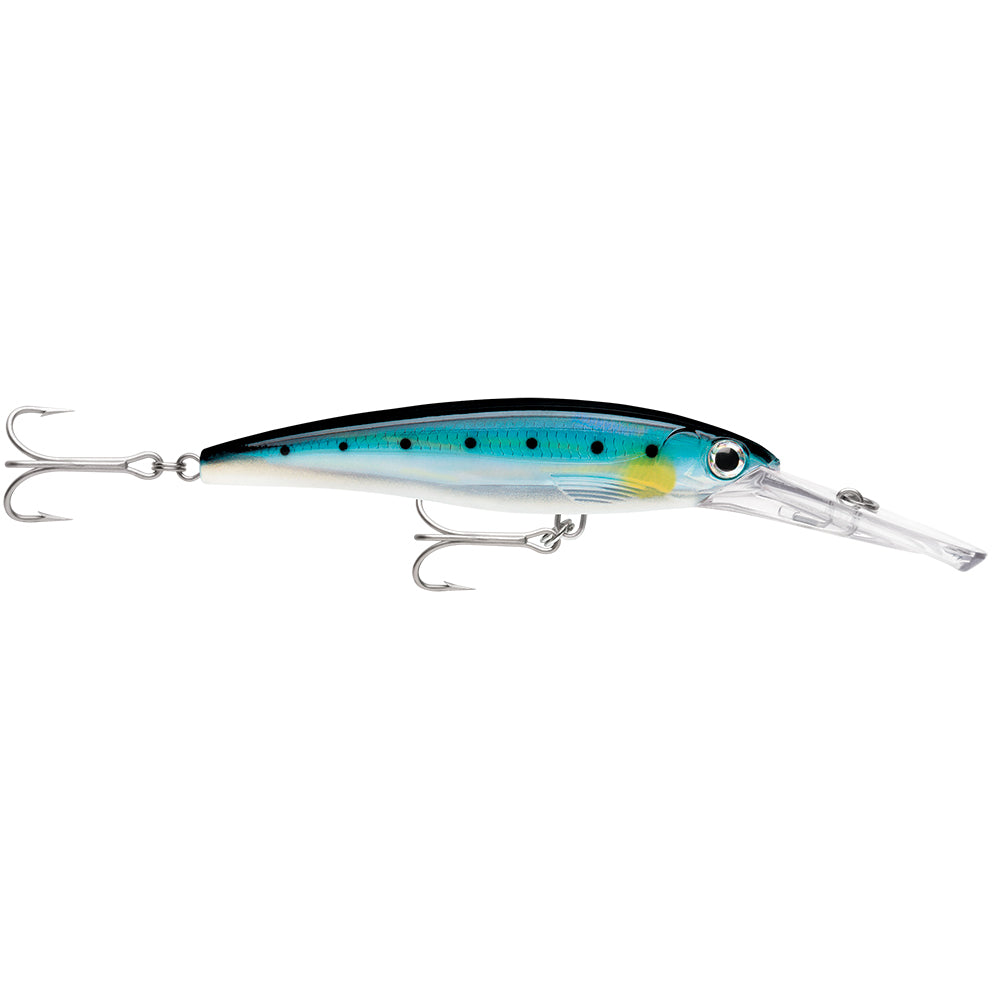Rapala XRap Magnum 15 Blue Sardine XRMAG15BSRD